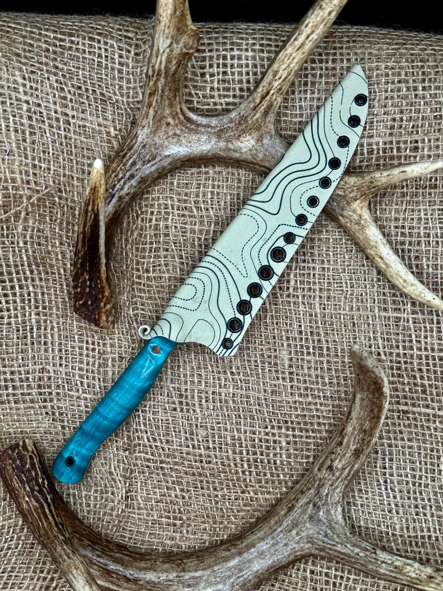 The Reef 7" Fillet